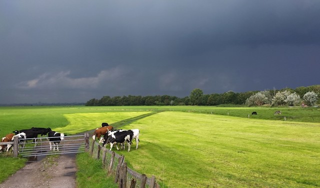 Laten we ophouden met die zelfbeschuldiging