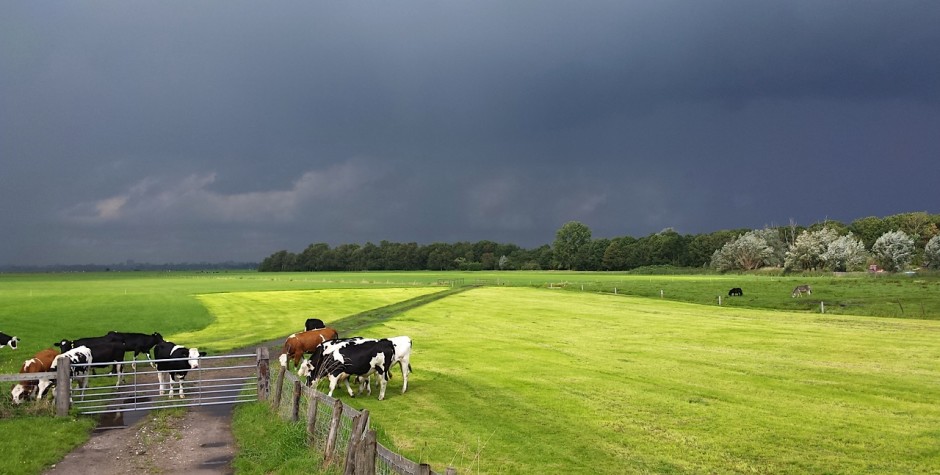 Laten we ophouden met die zelfbeschuldiging